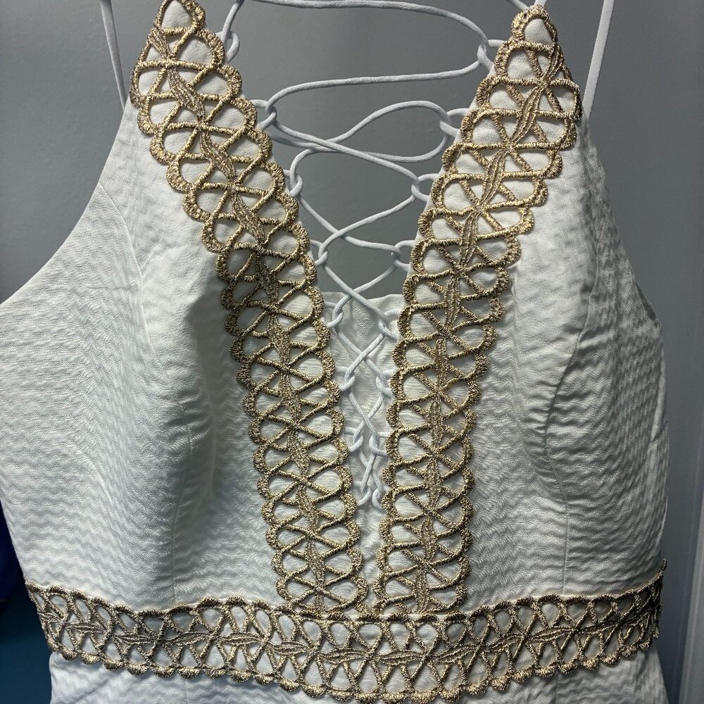Trista Shift Dress